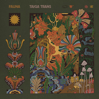 �ե����ʡ����������ȥ�󥹡ʣãġ�