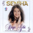 ���˥ϡ����䡦���ӡʣãġ�