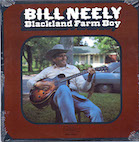 ӥ꡼ˡꥣ֥åɡեࡦܡʣ̣С